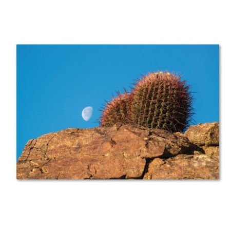 Thom Sivo 'Moon And Cactus On The Araby Trail' Canvas Art,30x47